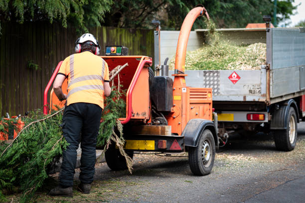 Best Tree Care Services  in Goddard, KS